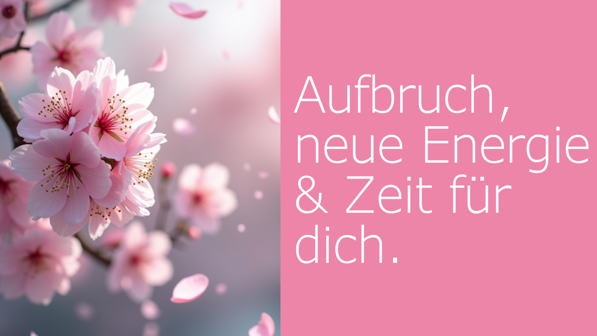Frühlingskurse