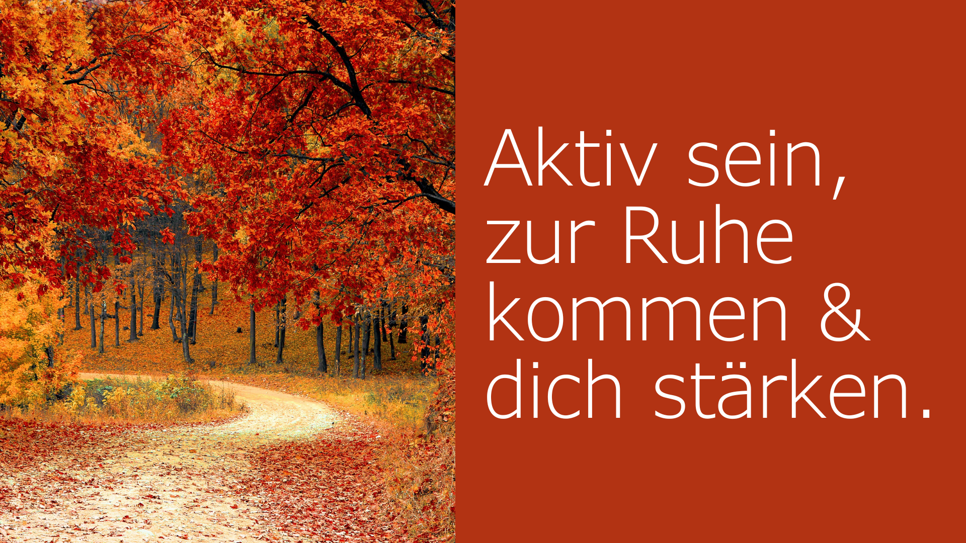 Herbstkurse