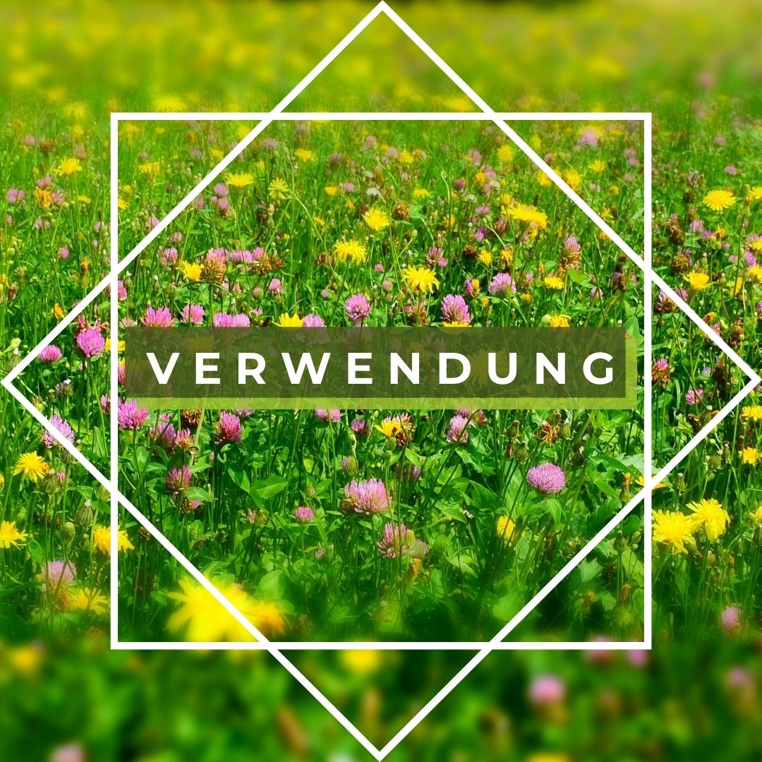 Verwendung
