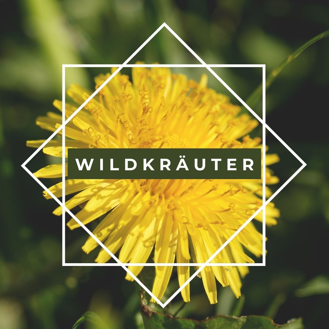 Wildpflanzen