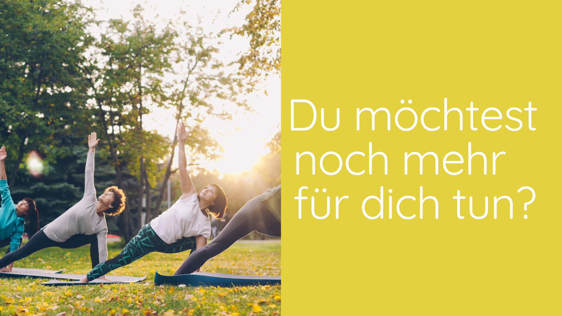​​​​​​​Du möchtest noch mehr