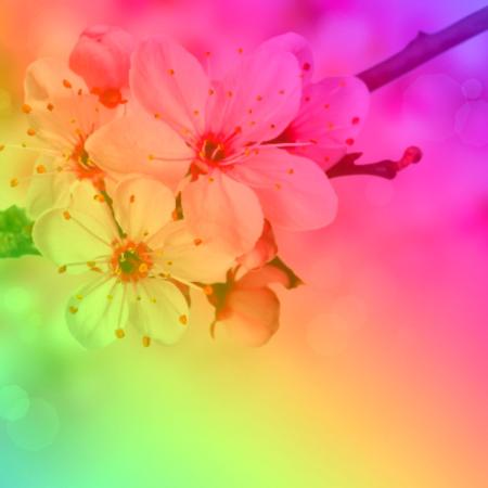 "Frühlingserwachen" Neuhaus Rwg. Start voraussichtlich Montag 17.4. 2023 um 18:30 Uhr